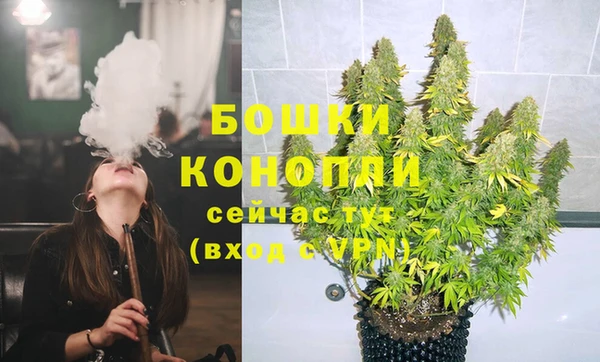 винт Белокуриха